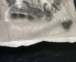 (10) New Oem Polaris 7661829 Rivets Nos. Fixed Price $11.95.