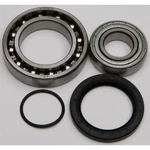 Balls Chain Case Bearing & Seal Kit 14-1041. Fixed Price $61.15.