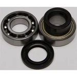 Balls Chain Case Bearing & Seal Kit 14-1031. Fixed Price $47.22.