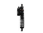 Len Performance LS4-11001R Rear Track Shock Car Suspension. Fixed Price $547.66.