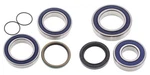 Lower Drive Shaft & Upper Jack Bearing Seal Kit 500 Ss Gtx Sport 2009. Fixed Price $73.83.