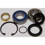 Balls Chain Case Bearing & Seal Kit 14-1039. Fixed Price $51.09.