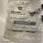 Flanged Shoulder Screw 10 Pk ---- Ski-doo. Fixed Price $29.99.